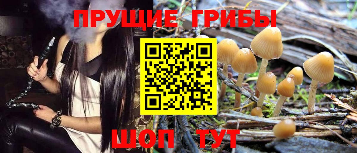 Галлюциногенные грибы Psilocybine cubensis  Галлюциногенные грибы Psilocybine cubensis  Вход с VPN  Учалы 